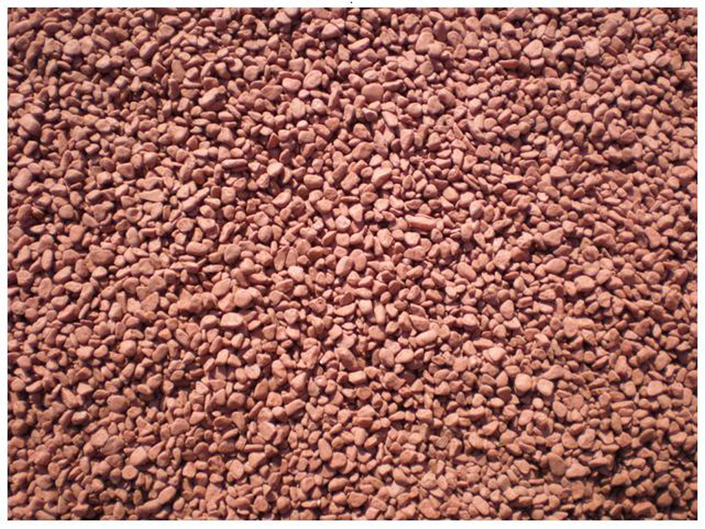 E칼라염색 (2).jpg