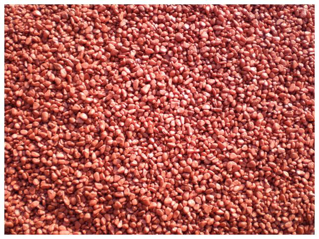 E칼라염색 (3).jpg