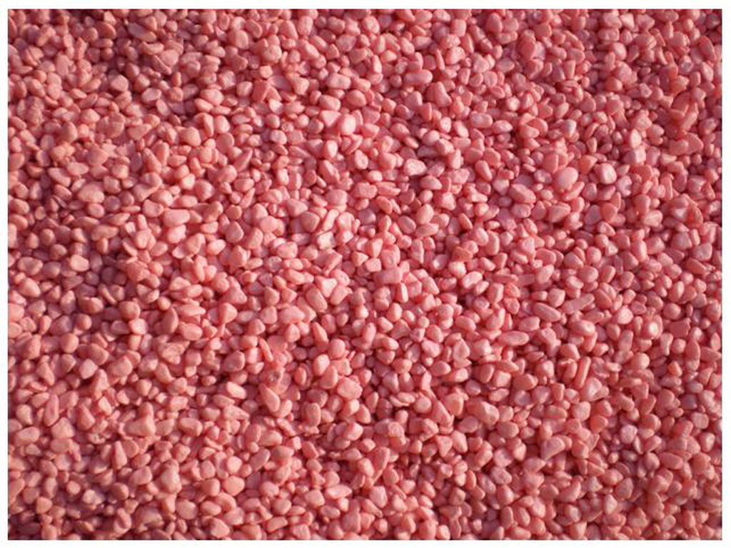 E칼라염색 (4).jpg