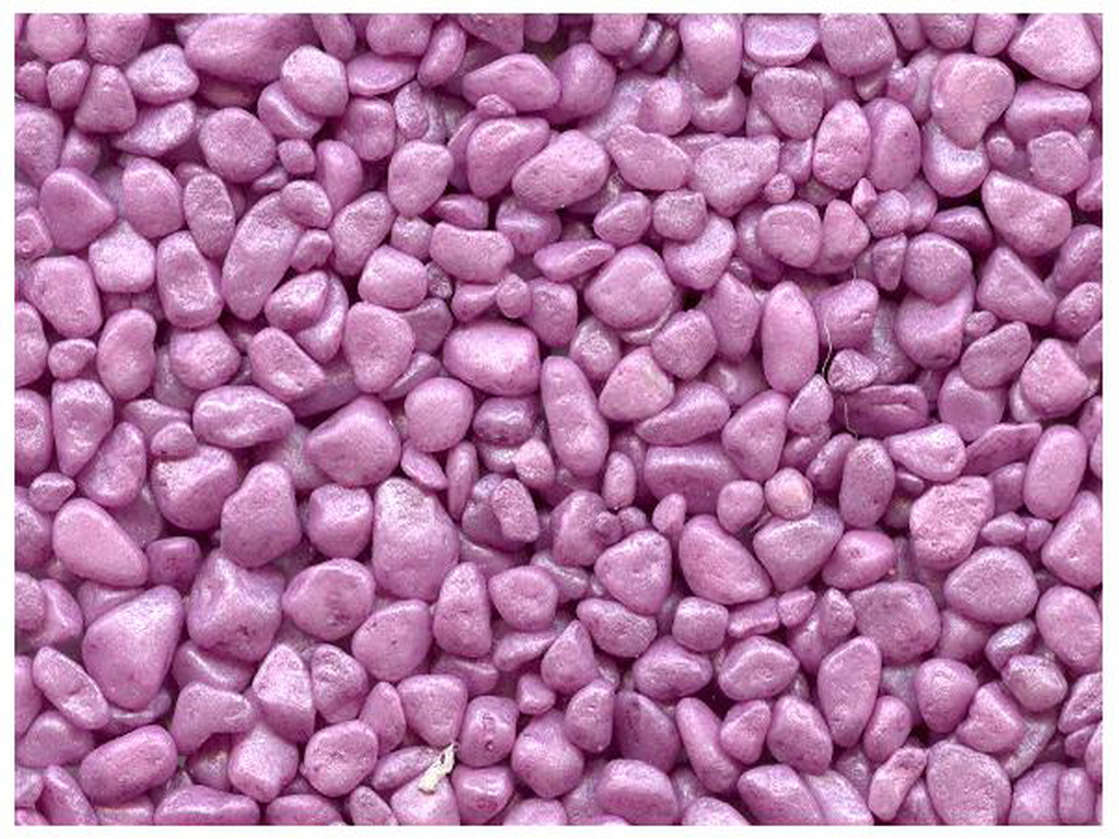 E칼라염색 (6).jpg