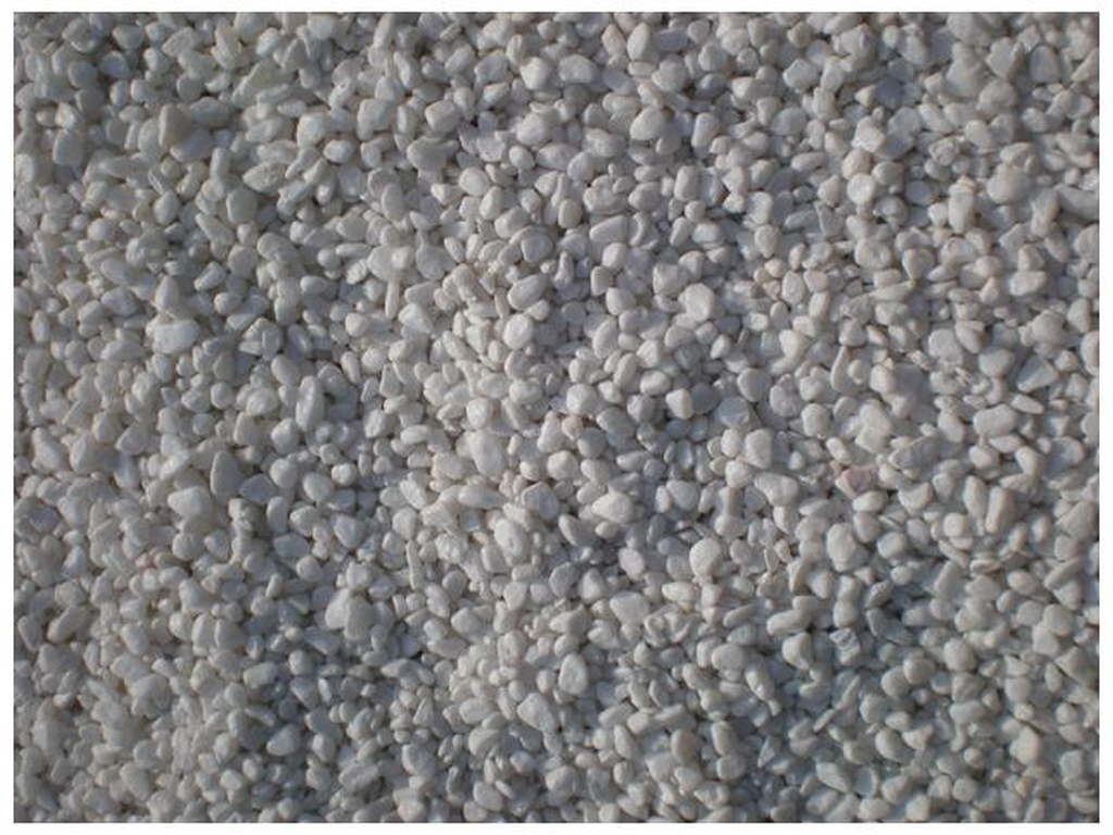 E칼라염색 (5).jpg