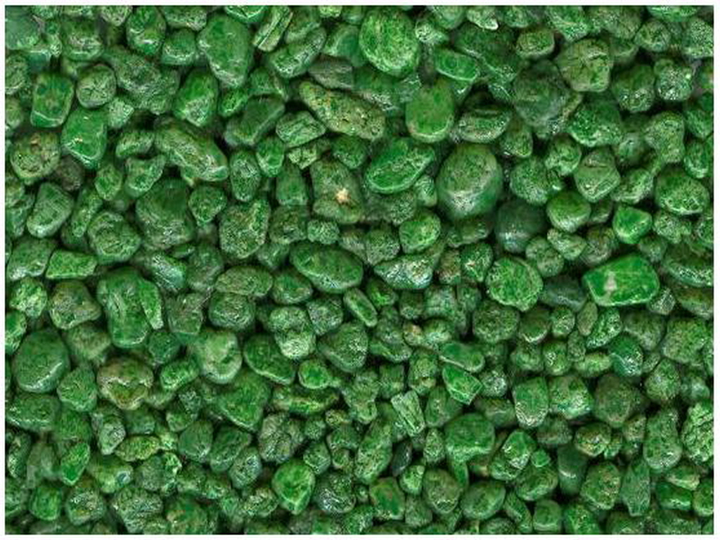 E칼라염색 (7).jpg