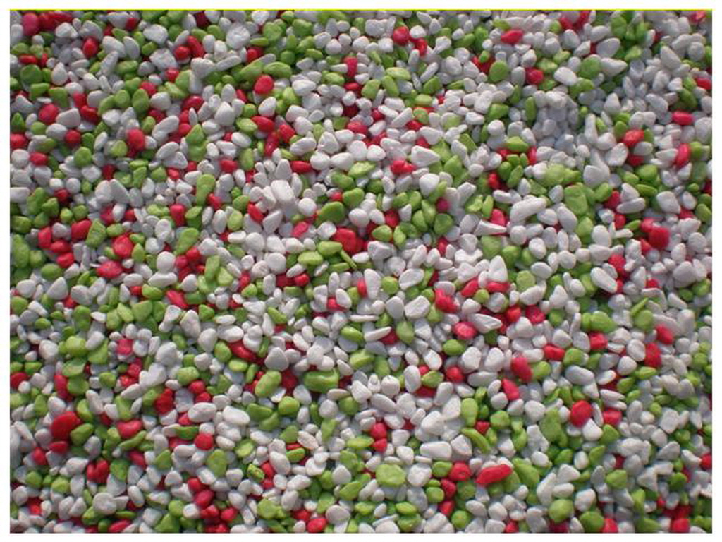 E칼라염색 (8).jpg