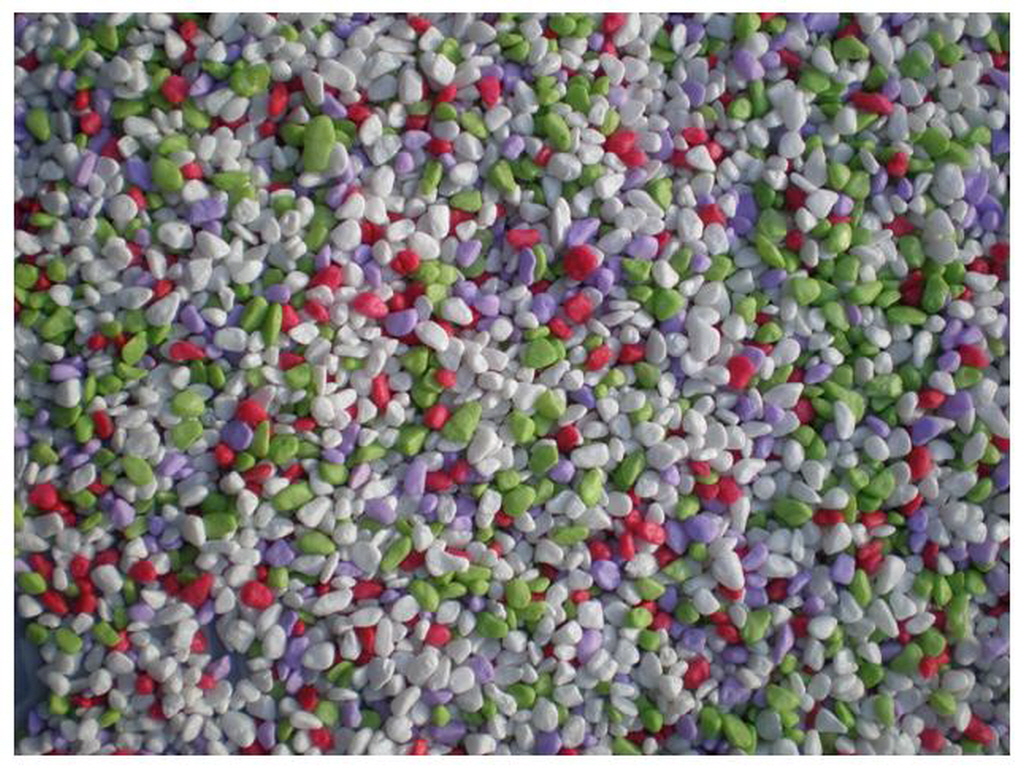 E칼라염색 (14).jpg