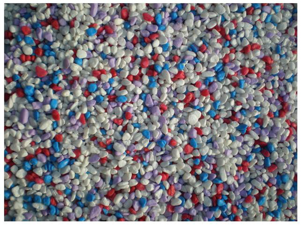 E칼라염색 (15).jpg