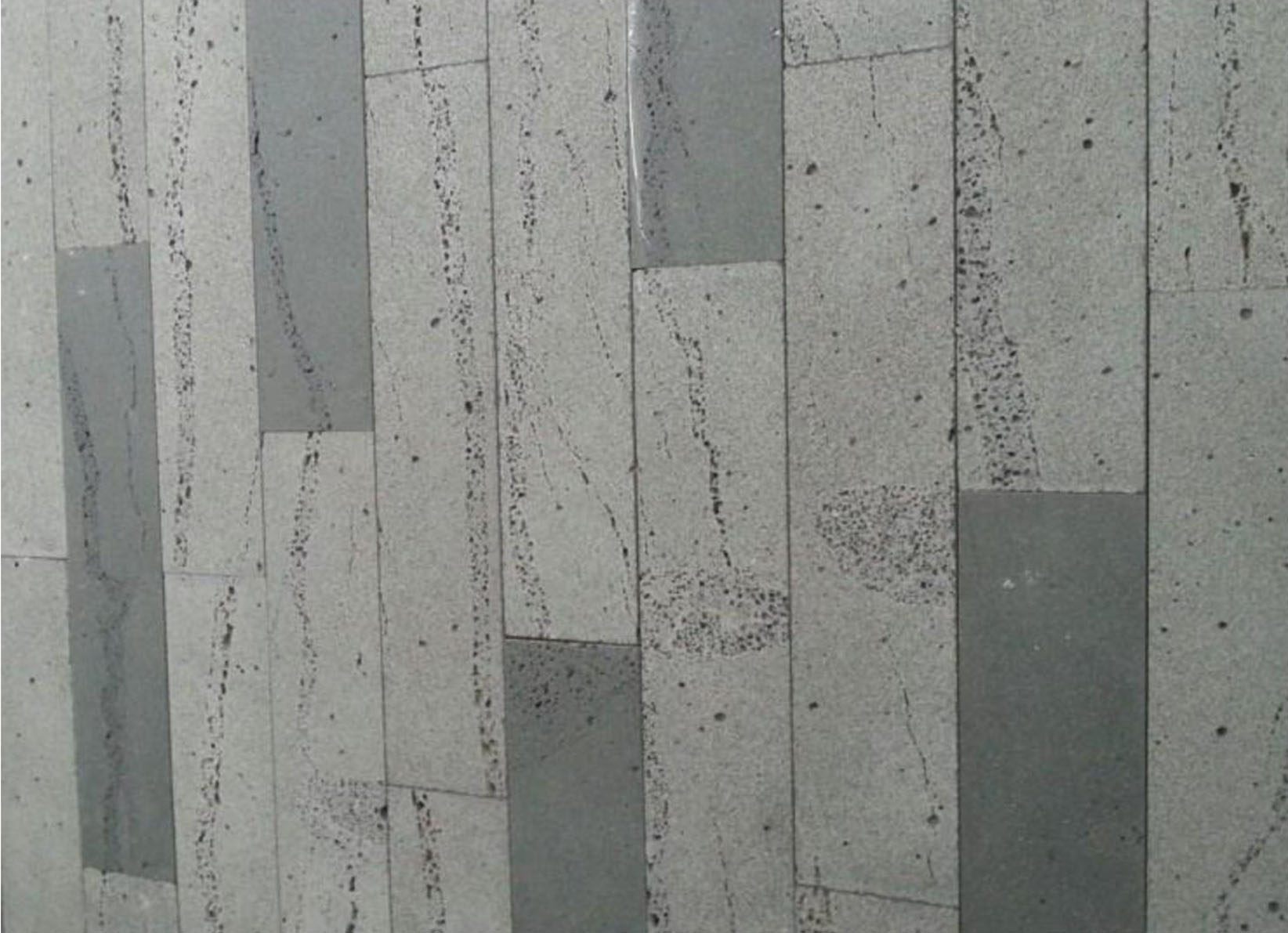 개미굴석 001.jpg